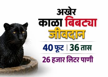 रत्नागिरीत 36 तासांचा थरार! विहिरीत अडकलेल्या काळ्या बिबट्याची सुटका