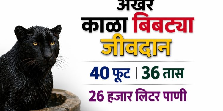 रत्नागिरीत 36 तासांचा थरार! विहिरीत अडकलेल्या काळ्या बिबट्याची सुटका