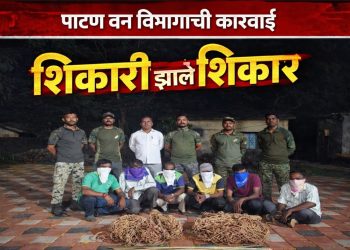 पाटणमध्ये वन विभागाची धडक कारवाई; मोरगिरीत शिकारी प्रकरणी 6 जणांवर गुन्हा
