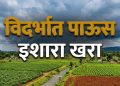 विदर्भात अनेक जिल्ह्यांत मुसळधार सरी, शेतीला दिलासा तर काही ठिकाणी पाणी साचण्याची भीती