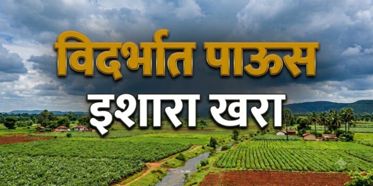 विदर्भात अनेक जिल्ह्यांत मुसळधार सरी, शेतीला दिलासा तर काही ठिकाणी पाणी साचण्याची भीती