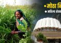 शेतकऱ्यांसाठी दिलासा: कर्जमाफीचा निर्णय, महिला शेतकऱ्यांना मिळणार नवे हक्क