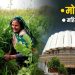 शेतकऱ्यांसाठी दिलासा: कर्जमाफीचा निर्णय, महिला शेतकऱ्यांना मिळणार नवे हक्क