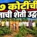 शिरपूर तालुक्यात ७ कोटींच्या गांजाची शेती उद्ध्वस्त; ३,०६५ किलो गांजा जप्त
